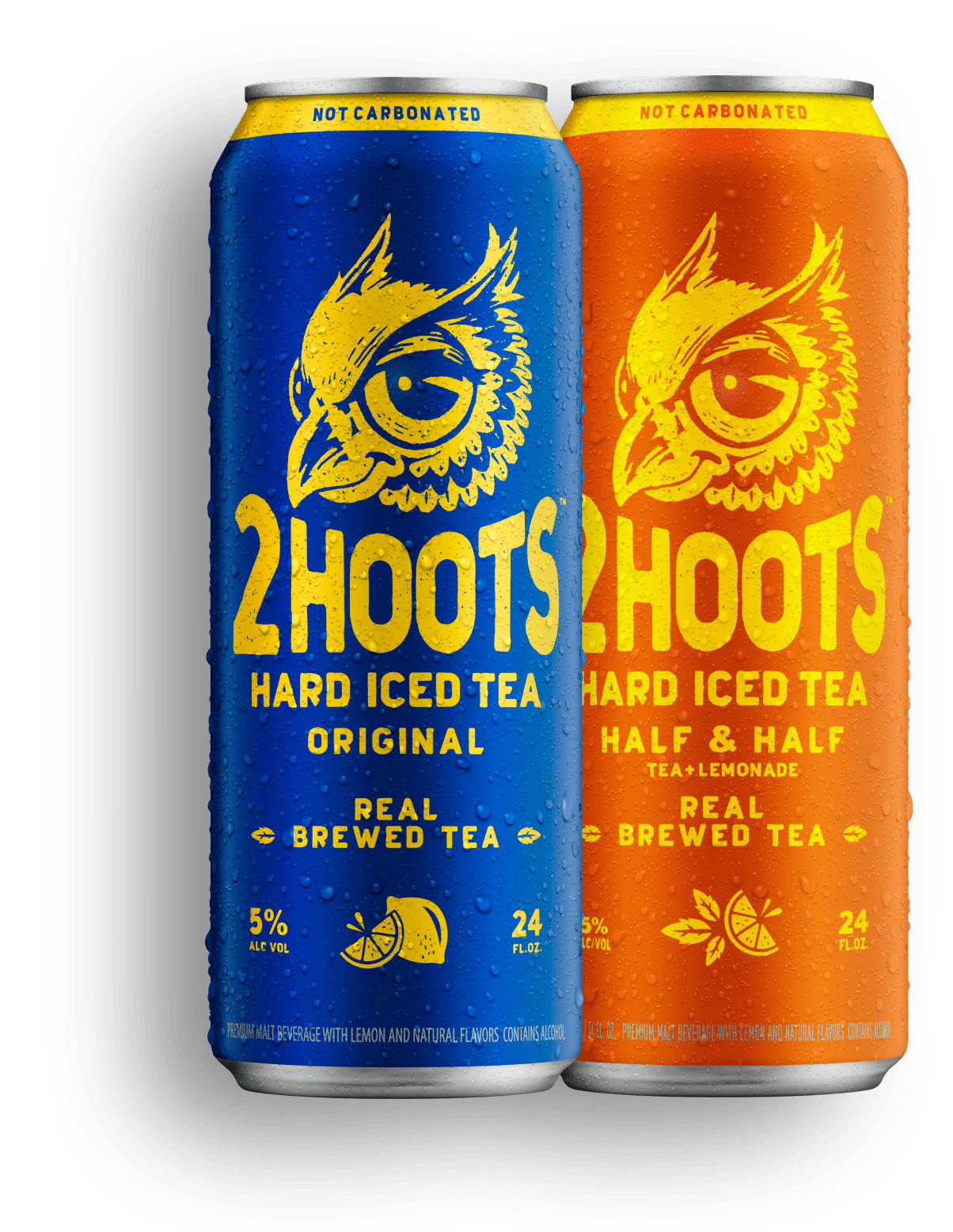 2Hoots